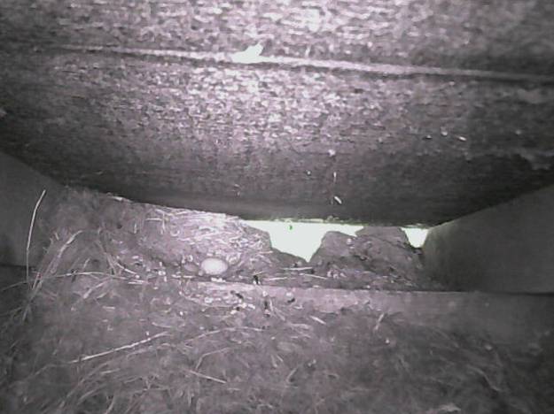 swift camera_2017_05_18_17_59_46